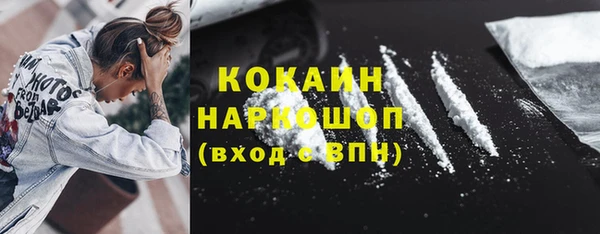твердый Дмитров