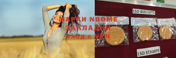 твердый Дмитров