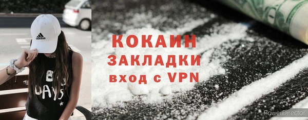 твердый Дмитров