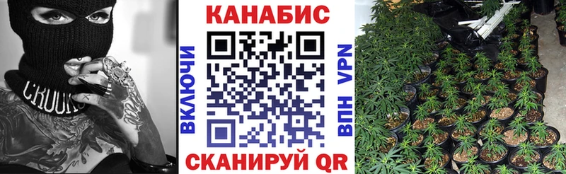 Конопля марихуана Инсар